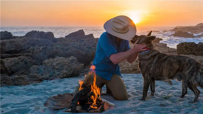 Нет такой вещи, как хорошая собака