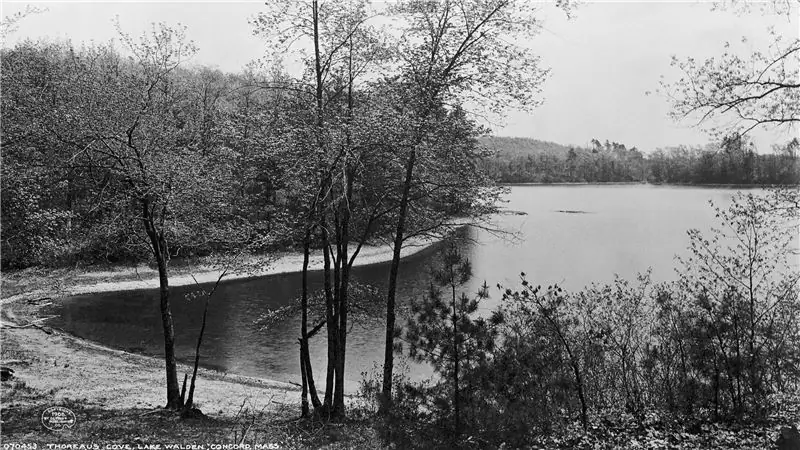 Плавание в открытой воде и другие акты гражданского неповиновения