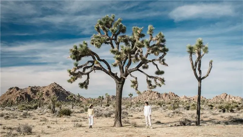 Любимая одежда из конопли Блэра Бравермана