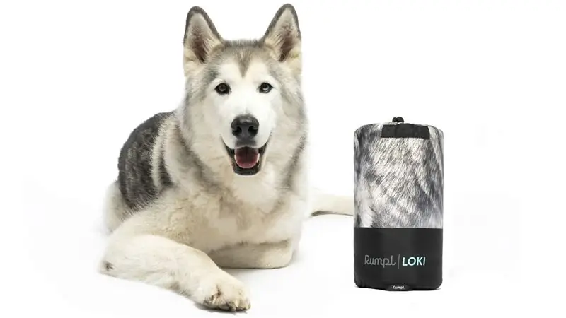 Это одеяло для собак разработал волк Локи