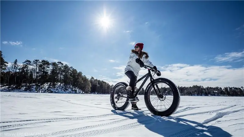 Как распознать самозванца-парка