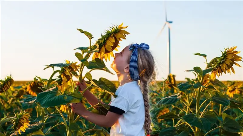 Чему самые счастливые страны мира могут научить нас о зеленой жизни