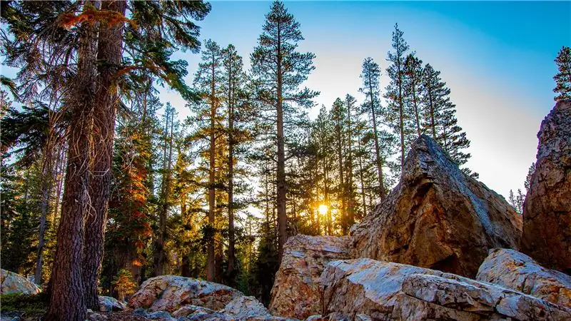 Семья из трех человек загадочно погибла в походе. Вот что случилось
