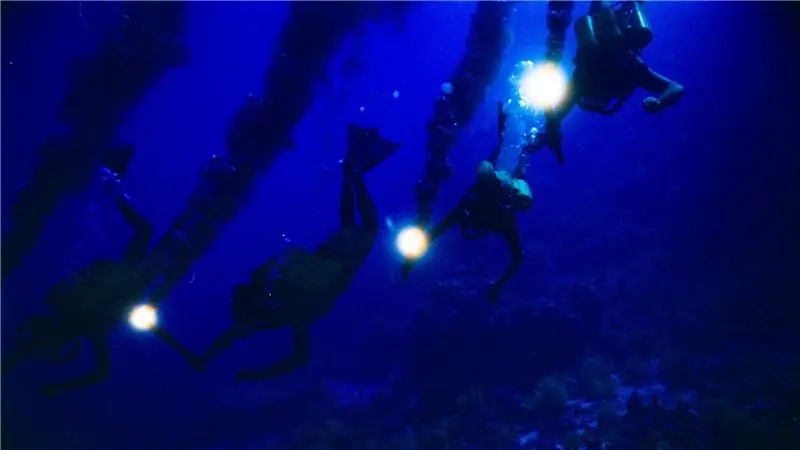 3 новых документальных фильма, которые стоит посмотреть в ноябре