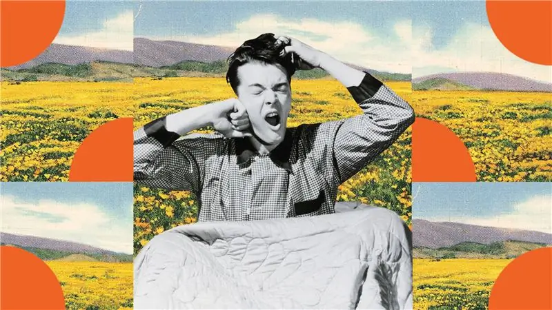 Увлажняющая веганская маска, успокаивающая мою несчастную сухую кожу