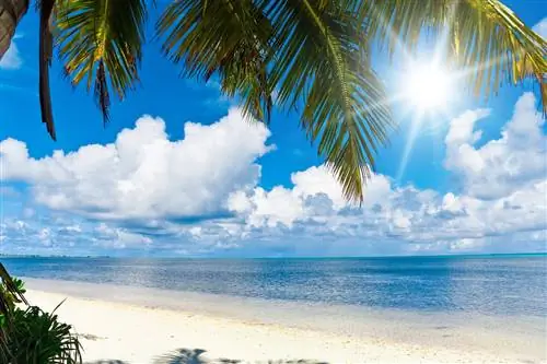 Солнце круглый год