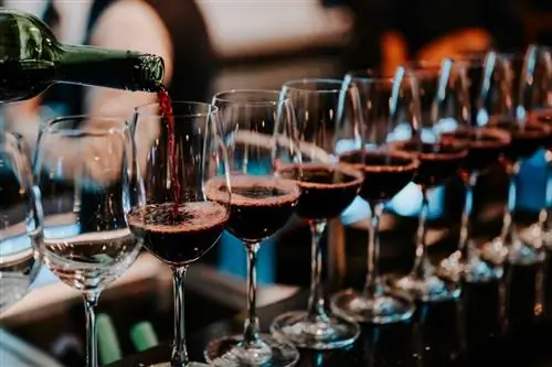 8. Посетите винный мастер-класс