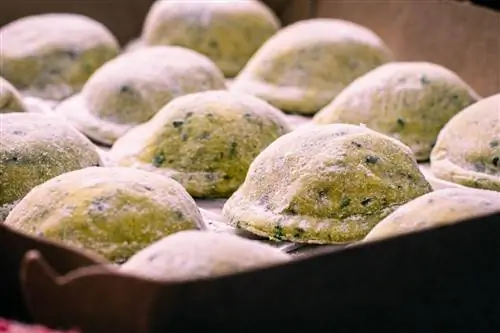 Соррентинос