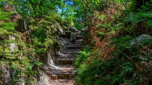 1. Фонтенбло