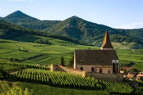 7 однодневных поездок из Парижа, которые нельзя пропустить