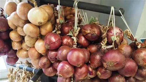 Греция - Висячий лук