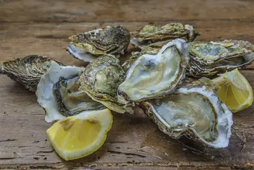 Наслаждайтесь вкусной едой