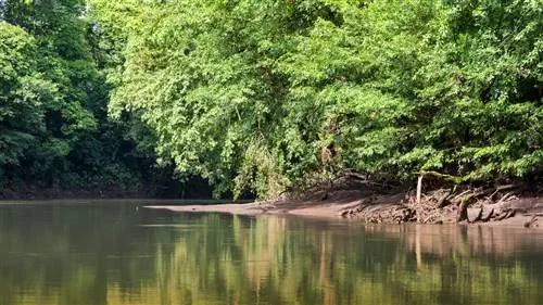 Пуэрто-Вьехо-де-Сарапики