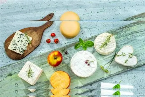 Лучшие места для любителей сыра