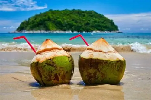 7 лучших мест для зимнего солнца