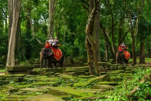 Камбоджа запретит катание на слонах в Ангкор-Ват