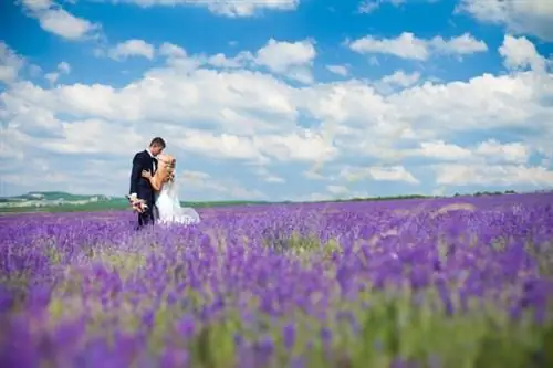 Любовь витает в воздухе: 7 популярных направлений для свадебной фотосессии