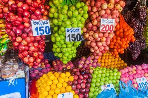 Изображение Изображение