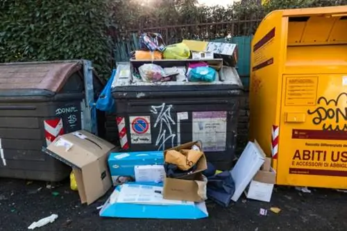 Рим ищет решение мусорного кризиса