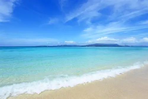 Эти пляжи гордо несут Голубой флаг, но что это значит?