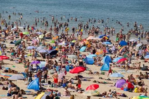 Самые многолюдные пляжи в мире и как их избежать