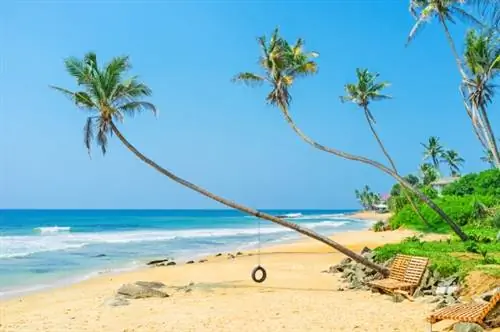 Когда-то Шри-Ланка была популярным направлением, теперь здесь почти нет туристов