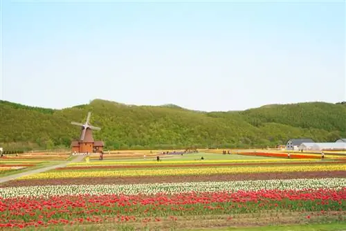 Изображение Изображение