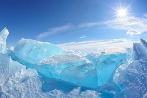 Хватай санки: 10 причин поехать в Сибирь зимой