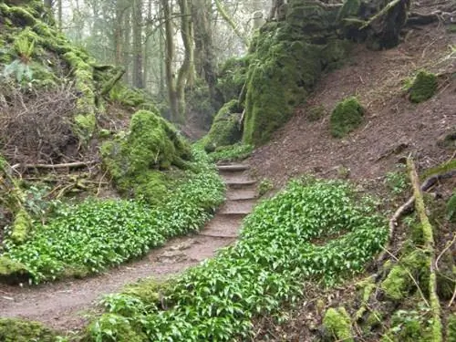 Реальные места, которые вдохновили вымышленные места в литературе и кино