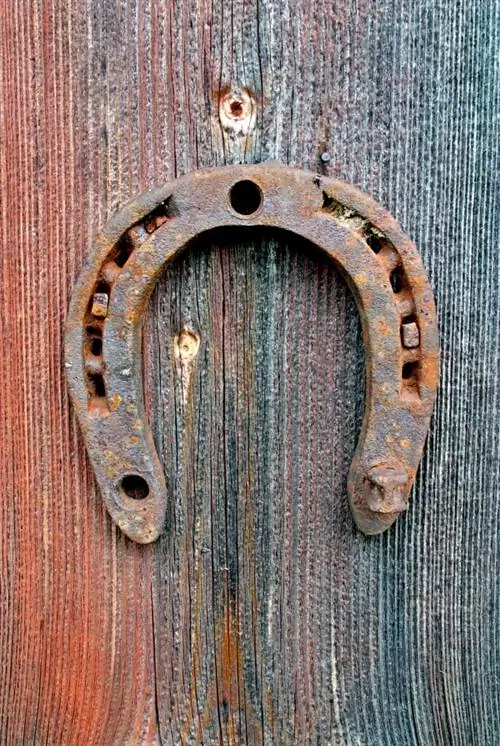 Самые странные сувениры, которые можно купить по всему миру