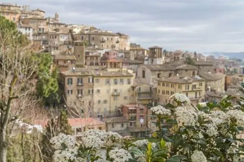 Что делать с 48 часами в Перудже