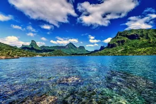 Полинезийские острова, вдохновившие Диснея на создание Моаны