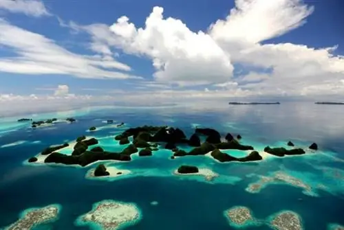 Где найти самые экологически чистые направления в мире