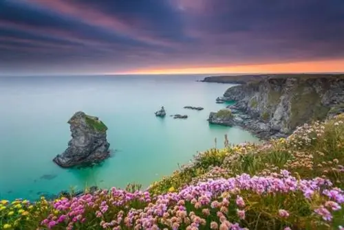 Удивительные места для наблюдения за дикой природой в Великобритании