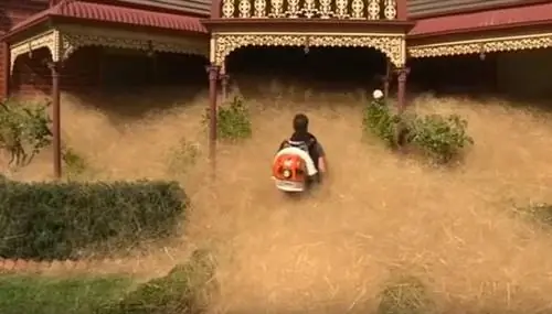 В австралийском городе началась «волосатая паника»