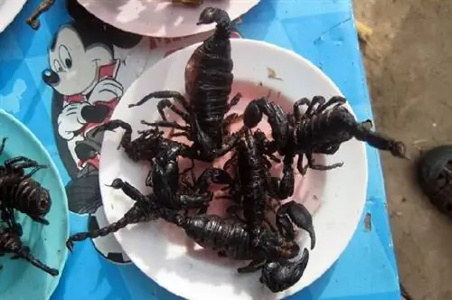 Изображение Изображение