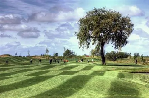 ТОП-5 инновационных аэропортов