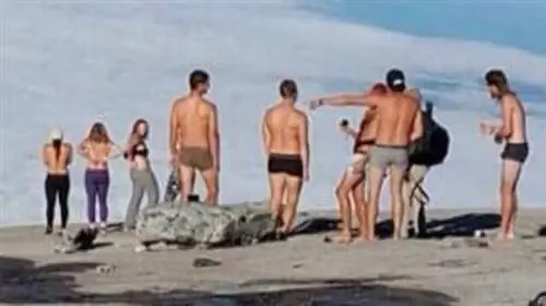 В землетрясении в Малайзии виноваты голые туристы