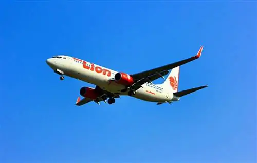 Лайон Эйрлайнз