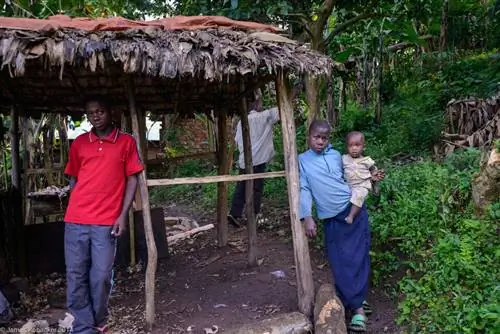 Фотографии горилл (1)