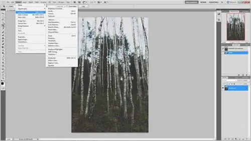 Пользовательский интерфейс Photoshop CS5