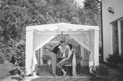 Фотография под прямым солнечным светом-2