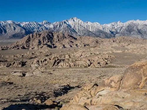 Полное изображение Olympus OM-D E-M5 II