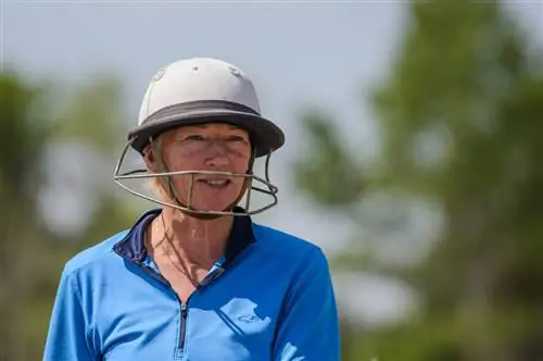 Лошадиное поло (3)