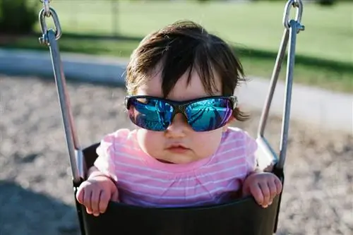 Образец Фуджи Х-Е1 (29)