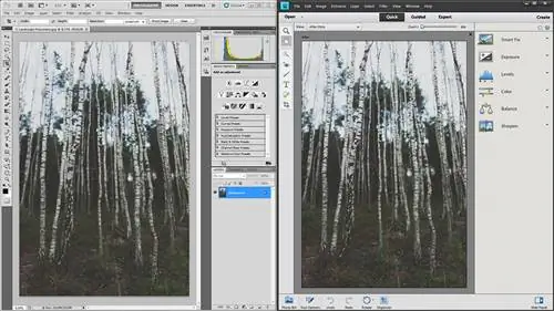 Photoshop против Photoshop Elements