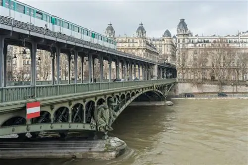 Парижский мост