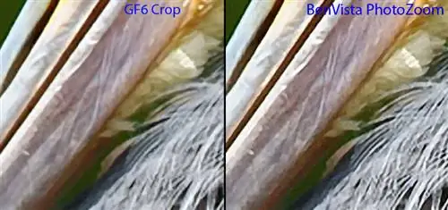 Настоящие фракталы против BenVista PhotoZoom