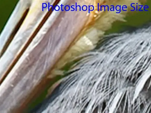 Изменение размера Photoshop в 4 раза