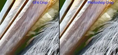 Сравнение настоящих фракталов и Photoshop